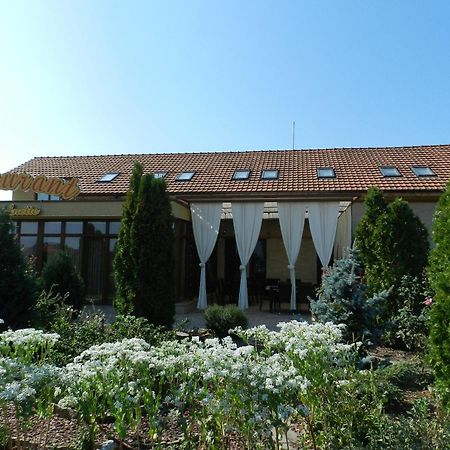 Anette Resort & Spa Covaci Екстер'єр фото